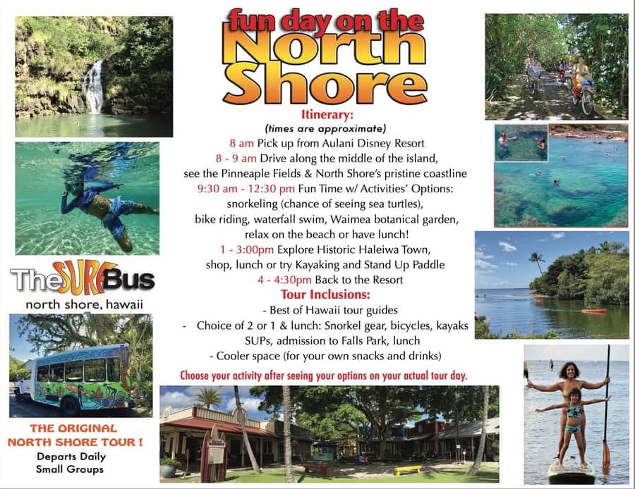 02/03 - 02/09 - Watch Pipeline Surf Challenge ! - Practical details for a smoother day