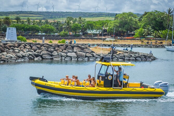 1.5-Hour Guided Whale Watching Tour - How the crew shapes the experience