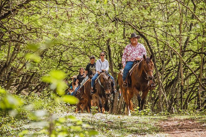 1 Hour Scenic Horseback Ride - Key points to know before booking