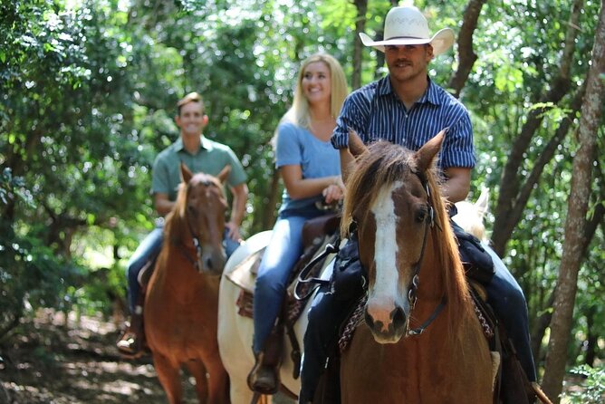 1 Hour Scenic Horseback Ride - The one-hour route, pasture, forest, and ocean views