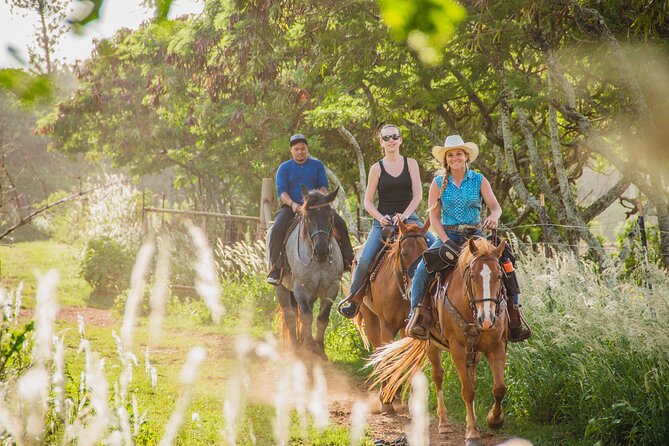 1 Hour Scenic Horseback Ride - What to wear and what the rules mean