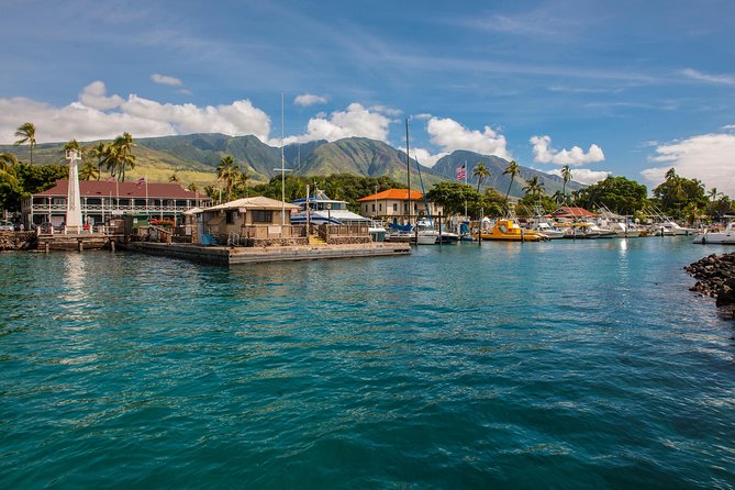 2-Hour Oahu Whale Watch from Ala Wai Harbor, Waikiki - A comfortable boat with two ways to watch
