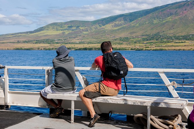 2-Hour Oahu Whale Watch from Ala Wai Harbor, Waikiki - Diamond Head and the search for humpbacks