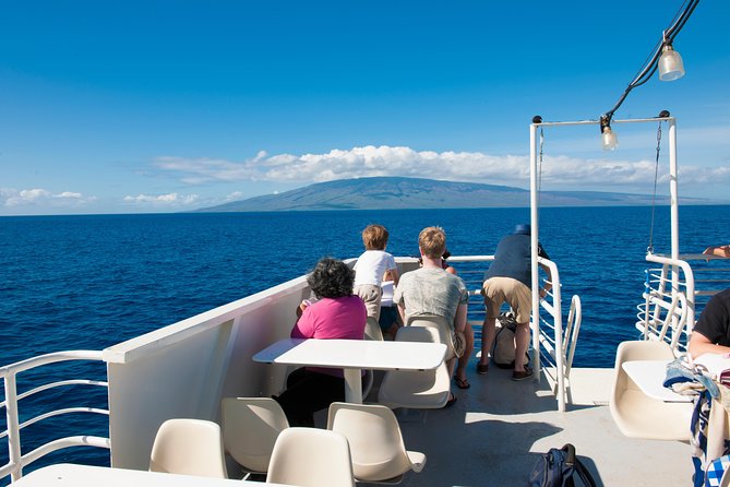 2-Hour Oahu Whale Watch from Ala Wai Harbor, Waikiki - Is $49.95 a fair price?