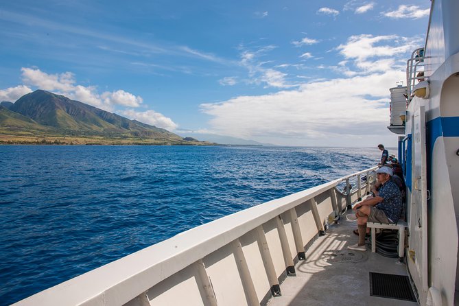 2-Hour Oahu Whale Watch from Ala Wai Harbor, Waikiki - Practical advice for a better ride