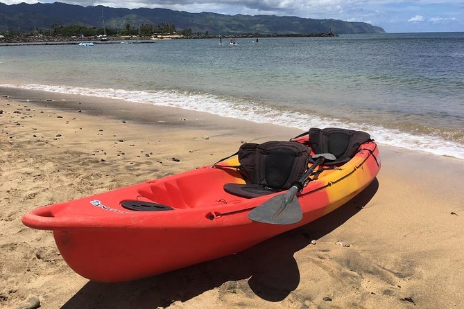 2-hour tandem kayak rental - Green sea turtles, with no promise of a sighting
