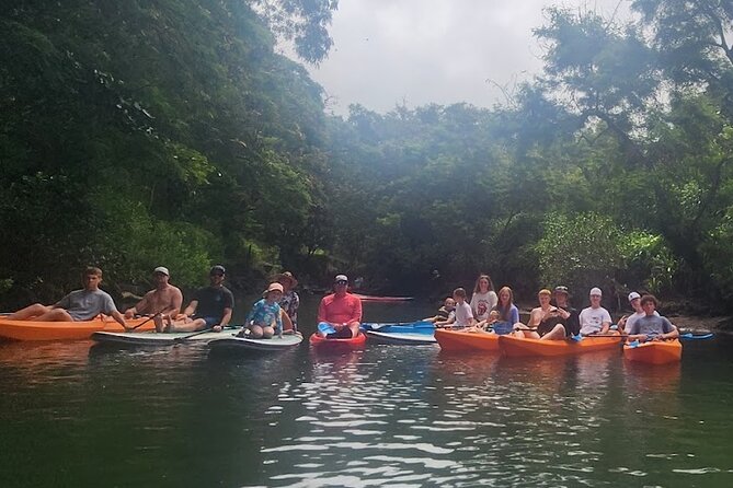 2 hour tandem kayak rental at our private launch area in Hale'iwa - Paddling the Anahulu River for two hours