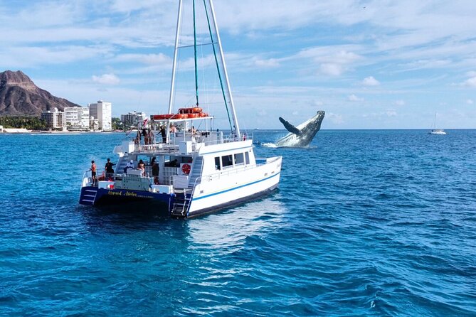 2 Hour Waikiki Whale Watching Cruise from Oahu - Quick take: what makes this cruise worth considering