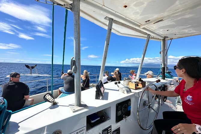 2 Hour Waikiki Whale Watching Cruise from Oahu - Diamond Head Crater from the water