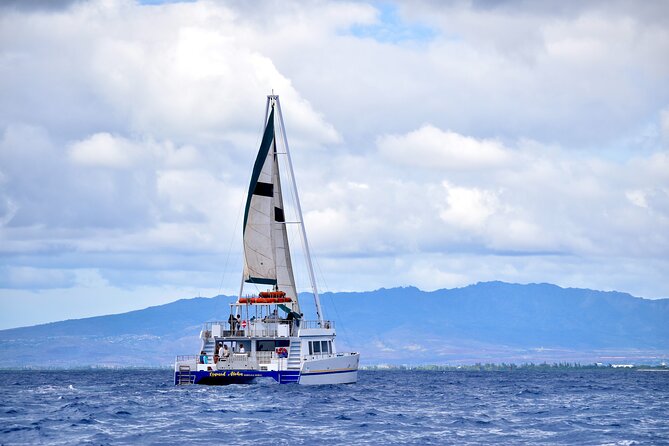 2 Hour Waikiki Whale Watching Cruise from Oahu - Ala Moana Beach Park and the whale search
