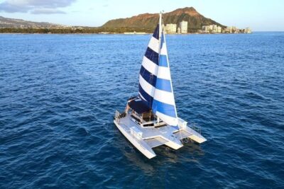 2 Hour Waikiki Whale Watching in Honolulu