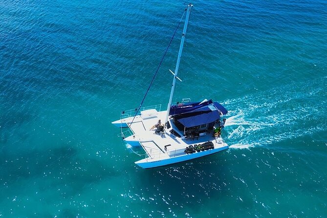 2 Hour Waikiki Whale Watching in Honolulu - Food, drinks, and practical comfort