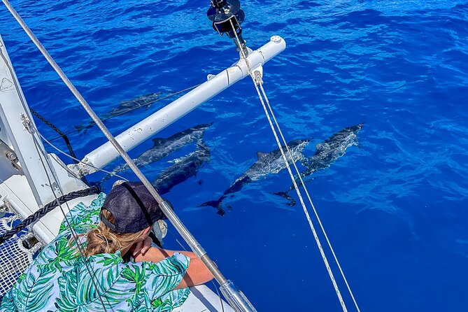 2hr Luxury Private Sailing Catamaran in Waikiki for 1-6 People - Whale season and wildlife watching