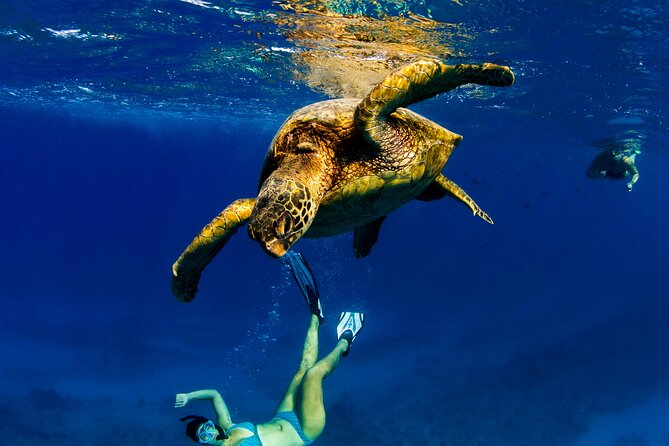 2hr Luxury Private Sailing Catamaran in Waikiki for 1-6 People - Practical details that affect your day
