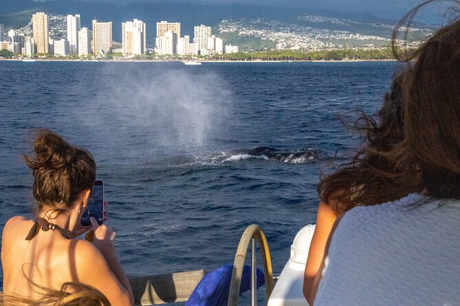 2hr Luxury Private Sailing Catamaran in Waikiki for 1-6 People - What the private format really changes