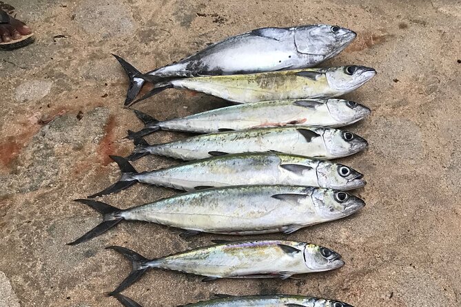 3-Hour Fishing Trip in Waikiki - Key points to know before you book