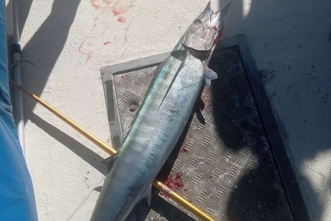 3-Hour Fishing Trip in Waikiki - The boat and the pace of the three-hour trip