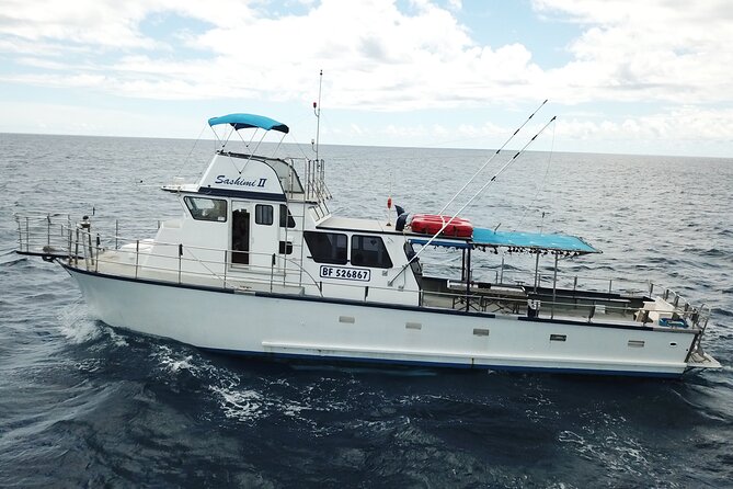 3-Hour Honolulu Bottom Fishing Adventure - The real reward is the time on the water