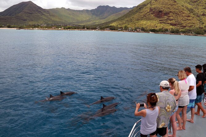 3 Zipline Adventure and 3.5 hour Afternoon Snorkel Cruise - Key points to know before booking