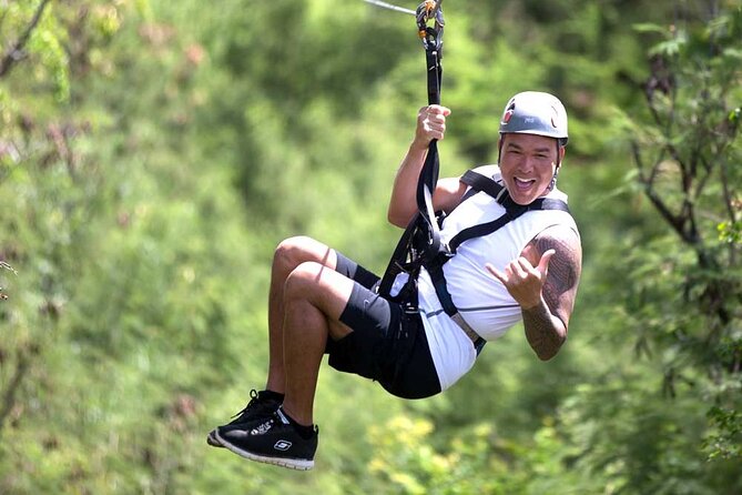 3 Zipline Adventure at Coral Crater with Optional Waikiki Shuttle - Three ziplines at Coral Crater: a quick taste of adventure