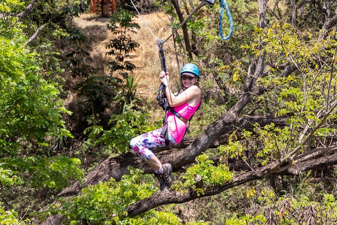 3 Zipline Adventure with Waikiki Transportation - Getting from Waikiki to Coral Crater