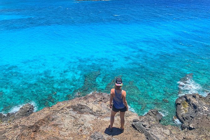 4 Hour Half Day Island Jeep Tour - Makapuʻu Point, Pier, and Beach