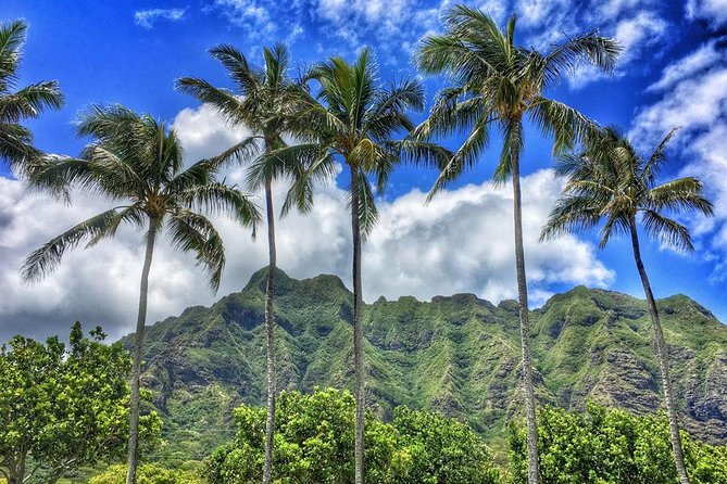 4 Hour Half Day Island Jeep Tour - Who should book this private Jeep outing