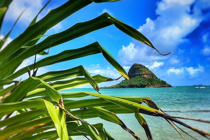8 Hour Circle Island Jeep Tour - Haleiwa, Waialua, and local food