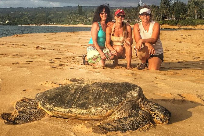 8 Hour Circle Island Jeep Tour - Portlock cliffs and Oahu’s southeast coast