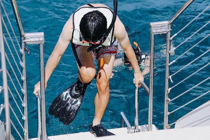 9am Turtle Canyon Snorkel Adventure - What the 9am Turtle Canyon trip is really like
