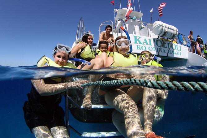All-Inclusive Sunset Dolphin Watch and Snorkeling Cruise - Key Points