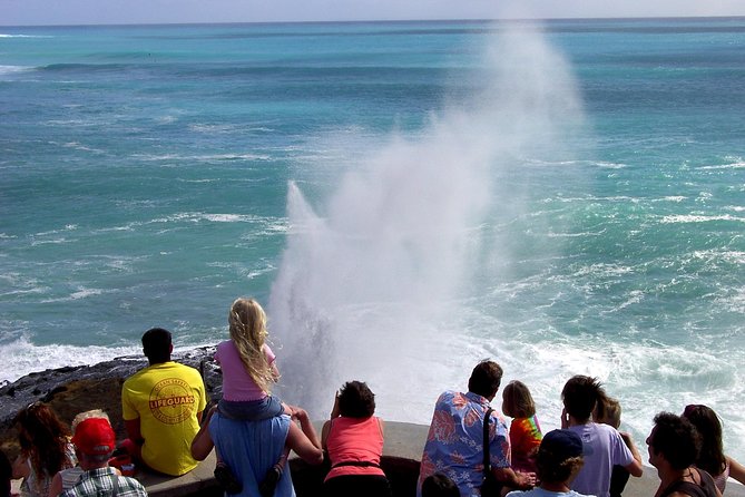 All Inclusive Ultimate Circle Island Tour, Waimea Falls & Lunch - Makapuu, Waimanalo, and the windy Pali Lookout