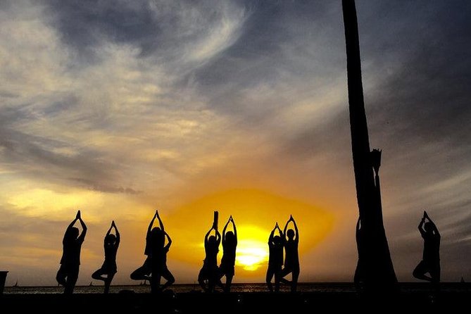 Beach Yoga on Waikiki with Diamondhead Backdrop - Morning flow beneath the banyan tree