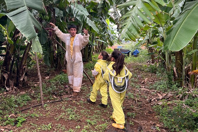 Bee Farm Ecotour and Honey Tasting in Waialua, North Shore Oahu - The introduction: bees before honey