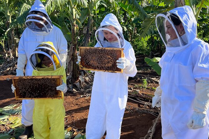 Bee Farm Ecotour and Honey Tasting in Waialua, North Shore Oahu - Holding a frame while bees work nearby