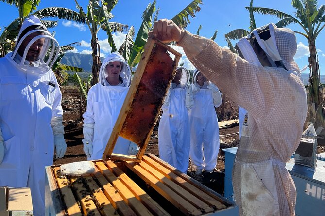Bee Farm Ecotour and Honey Tasting in Waialua, North Shore Oahu - Timing, group size, and the practical details