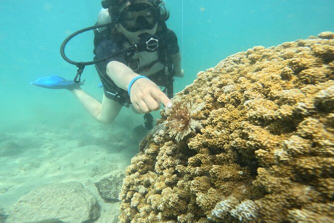 Beginner Scuba Diving Experience with Video Package in Honolulu - Kyle’s teaching style and why it matters