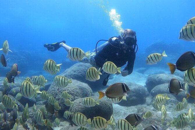 Beginner Scuba Diving Experience with Video Package in Honolulu - What happens during the 90-minute session