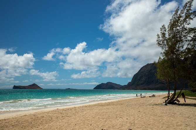 Best Of Oahu: Grand Circle Island Small Group Tour From Waikiki - Makapuʻu Point brings open ocean and changing views
