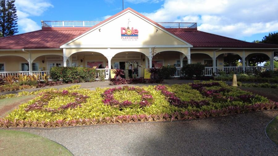Best of Oahu in One Day - Why a private Oahu loop can make sense