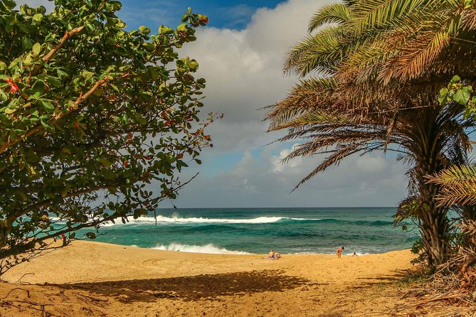 Best of Oahu: Pearl Harbor & Oahu Circle Island Tour from Waikiki - Dole Plantation gives you only 30 minutes