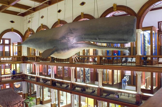 Bishop Museum General Admission Ticket - Key points at a glance