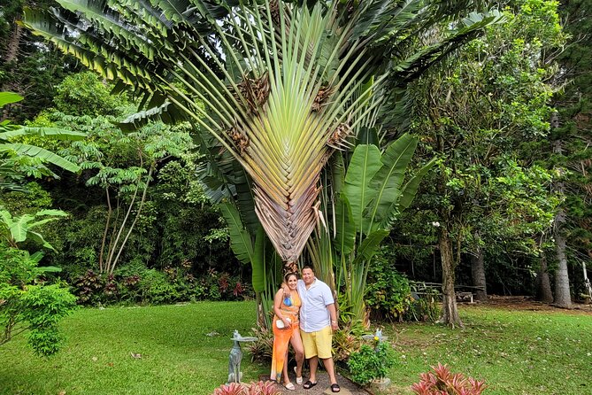 Byodo Temple and Waimea Botanical Garden Tour - Macadamia nuts and the Windward Coast