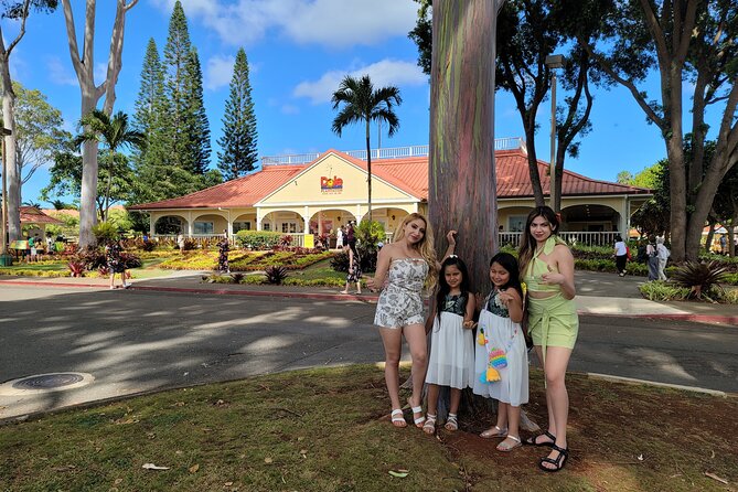 Byodo Temple and Waimea Botanical Garden Tour - Diamond Head and the southeastern coast
