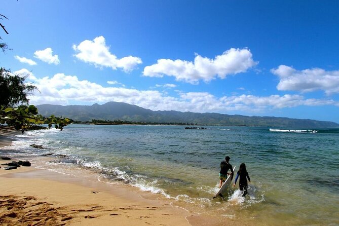 Cage-Free Shark Swim from Oahu - Watching from the boat before your own swim
