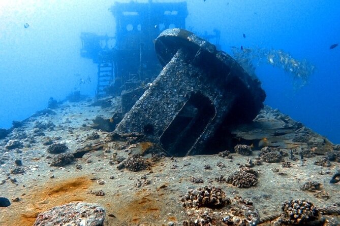 Certified Diver: 2-Tank Deep Wreck and Shallow Reef Dive Off Oahu - Two South Shore Sites, Two Very Different Underwater Views
