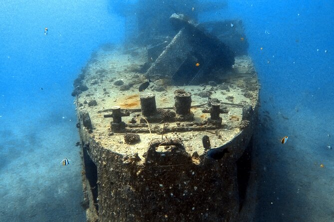 Certified Diver: 2-Tank Deep Wreck and Shallow Reef Dive Off Oahu - The Shallow Reef at Around 50 Feet