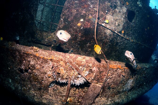Certified Diver: 2-Tank Deep Wreck and Shallow Reef Dive Off Oahu - A Crew That Helps With the Hard Parts