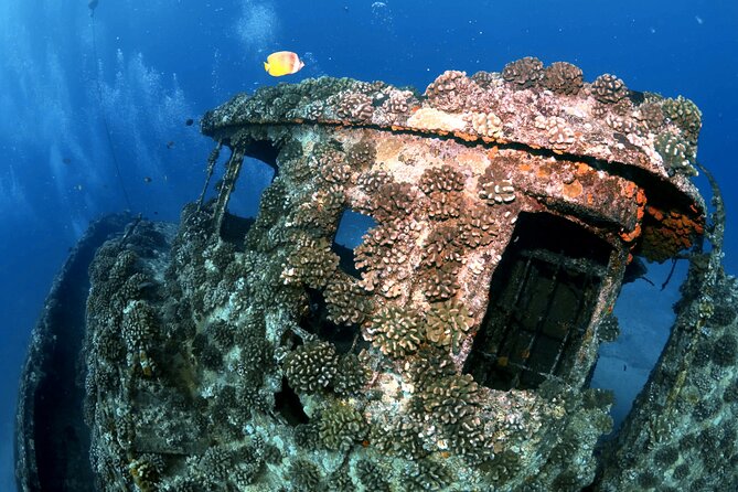 Certified Diver: 2-Tank Deep Wreck and Shallow Reef Dive Off Oahu - Booking, Cancellation, and Timing