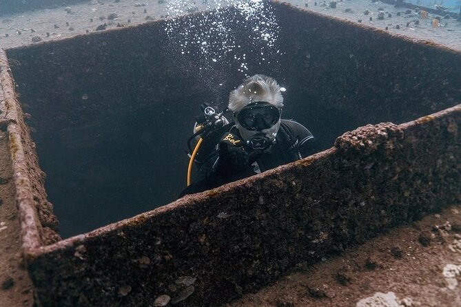 Certified Divers: Best 2-Tank Wrecks & Reef Boat Dive All Inclusive From Waikiki - The pace, depth, and group size